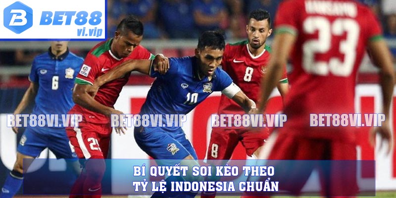 Bí quyết soi kèo theo tỷ lệ Indonesia chuẩn