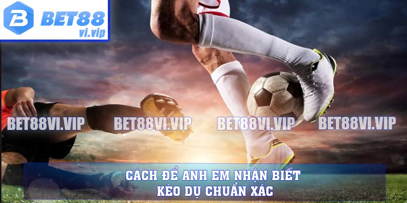 Cách để anh em nhận biết kèo dụ chuẩn xác