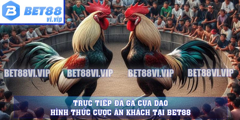 Đôi nét về đá gà cựa dao