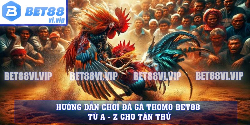 Hướng Dẫn Chơi Đá Gà Thomo BET88 Từ A - Z Cho Tân Thủ