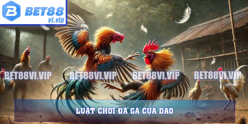 Luật chơi đá gà cựa dao